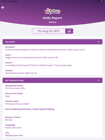 iCare Lullaboo app - Daily Report Screen