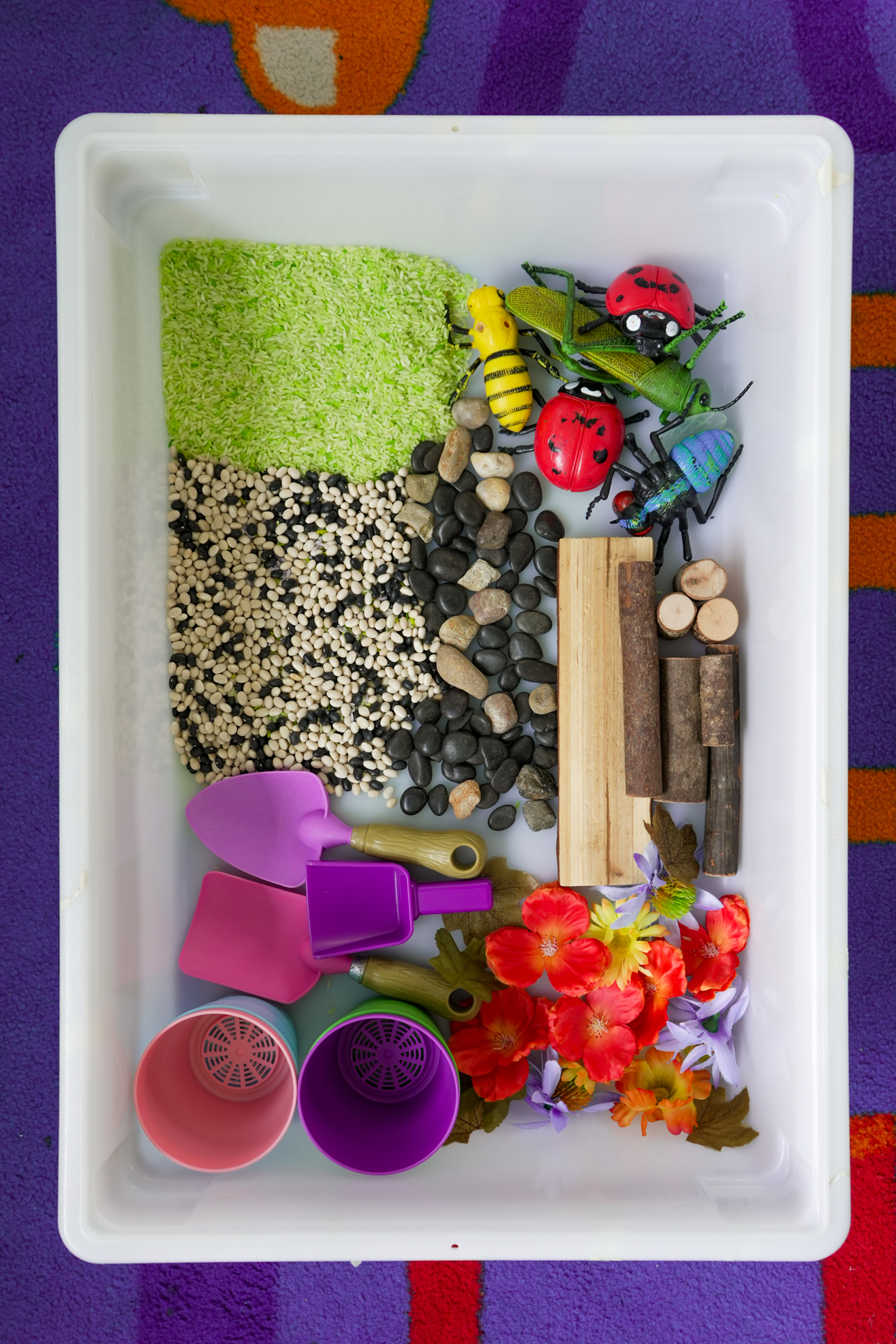 Sensory bin material laid out