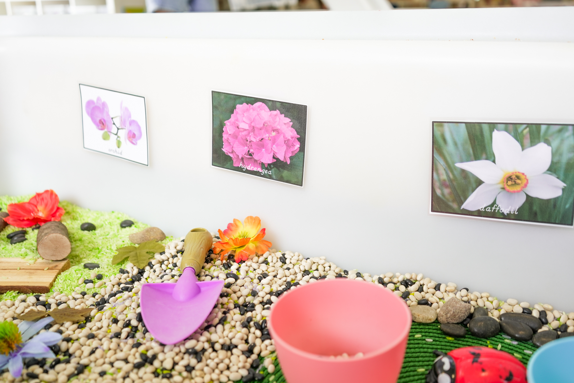 Details of sensory bin materials