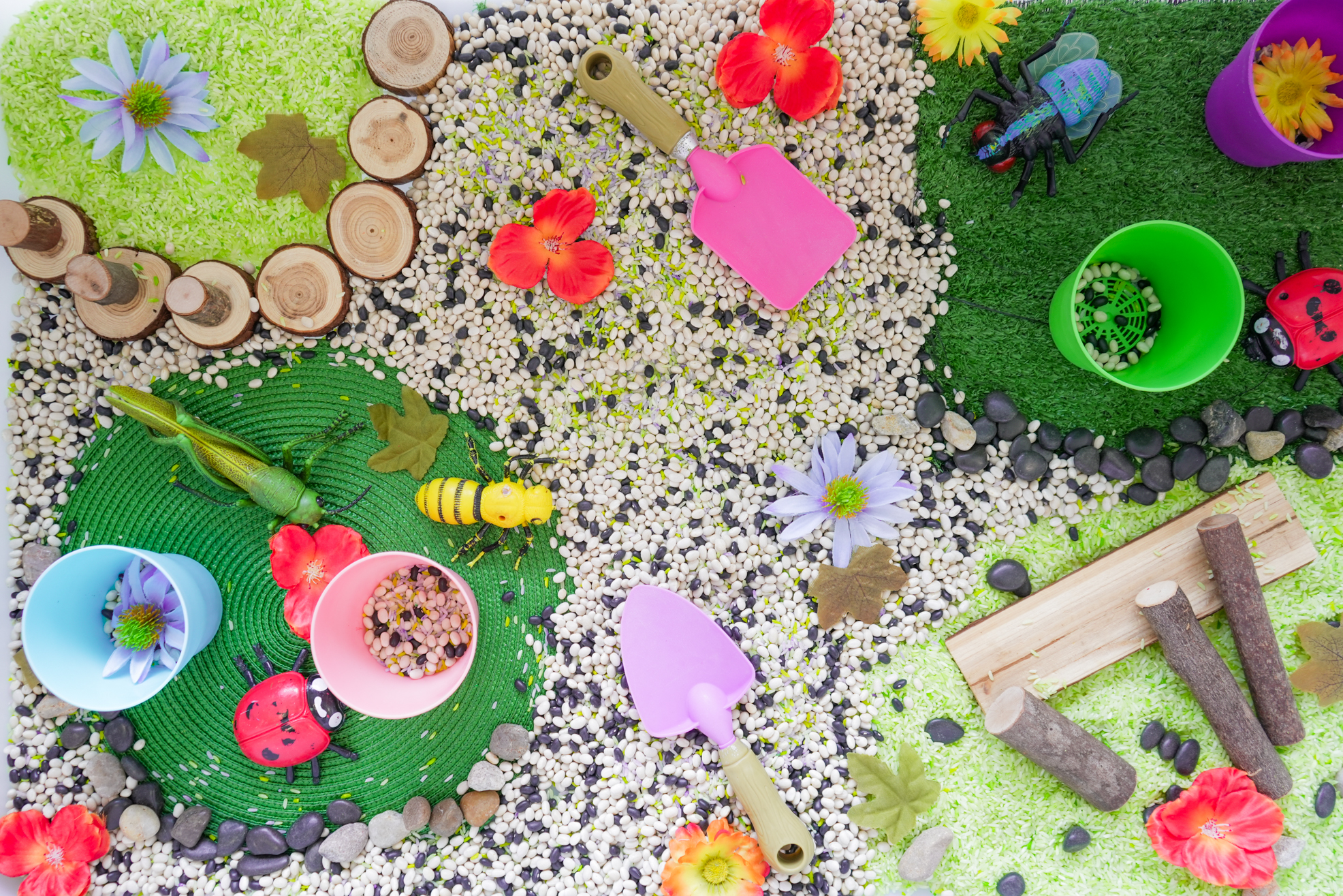 top view of sensory bin items, materials, and tools